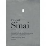 Psagot Winery - Sinai Cabernet Sauvignon 0 (750)