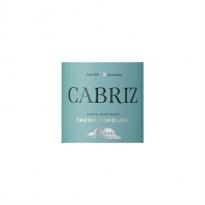 Quinta de Cabriz - Sauvignon Blanc (750ml) (750ml)